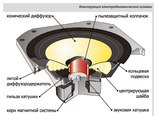 Конструкция динамической головки (динамика)